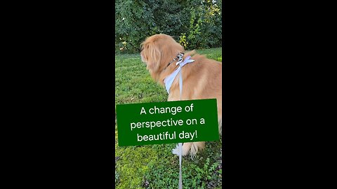 A change of perspective on a beautiful day!