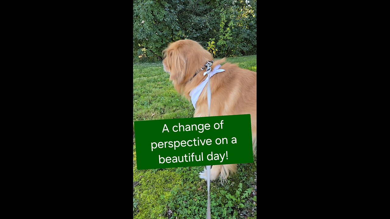 A change of perspective on a beautiful day!