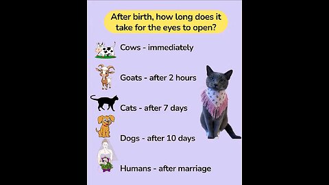 “When Life Gives You Funny Mood | Ultimate Meme Shorts” #FunnyMemes #MemeShorts #ViralVideo