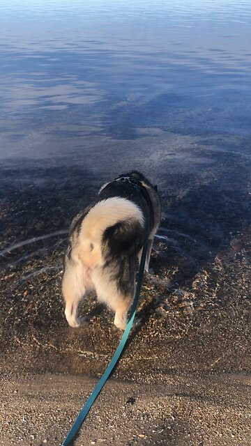 Tuesday November 18, Now I will expose your so called good deeds.