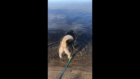 Tuesday November 18, Now I will expose your so called good deeds.