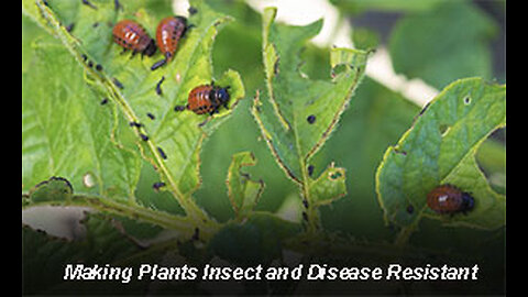 PFTTOT Part 503 Making Plants Insect and Disease Resistant