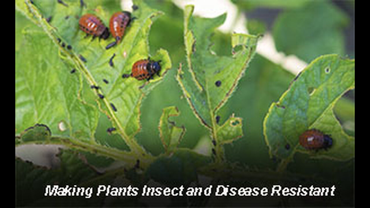 PFTTOT Part 503 Making Plants Insect and Disease Resistant