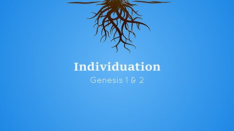 Individuation
