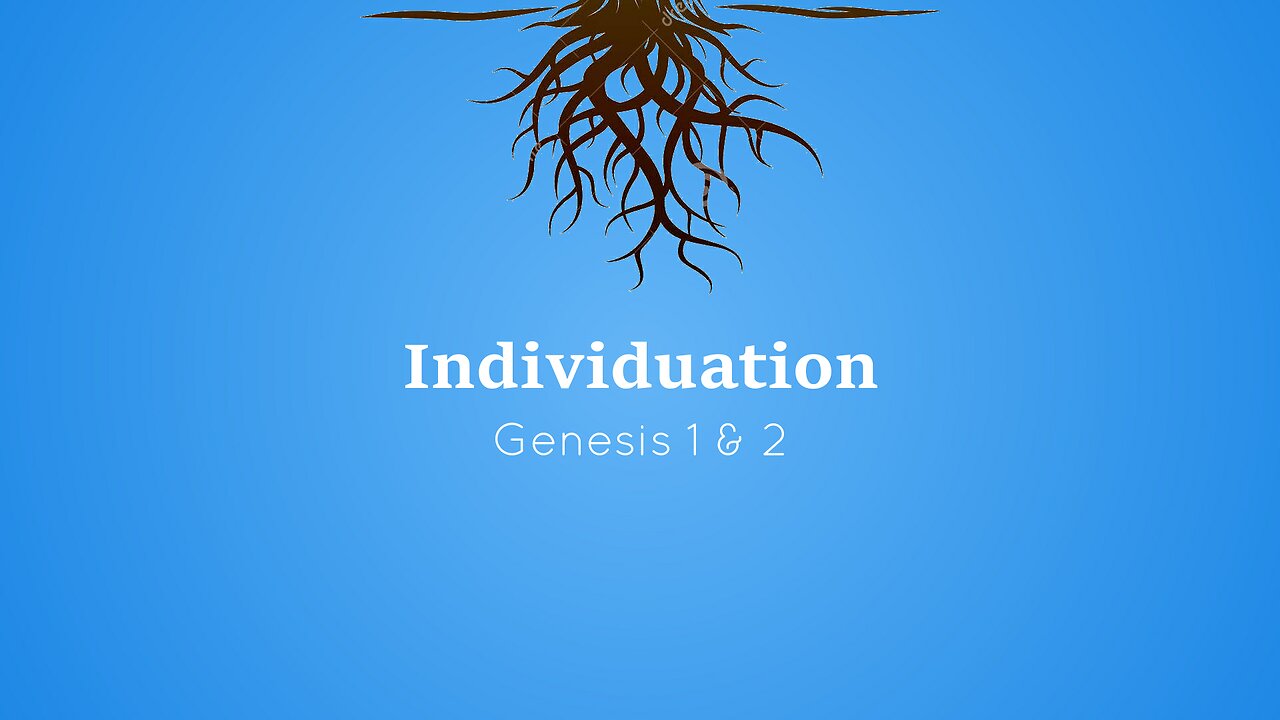 Individuation