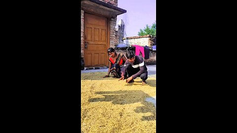 family with shorts funny video 🤣🥰 #dkcrazycomedy #drama