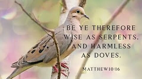 Wise as serpents, and harmless as doves….