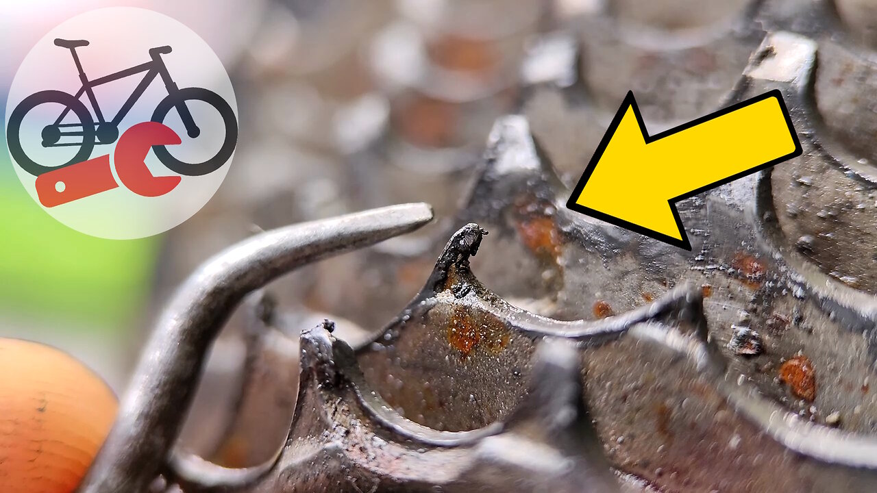 How can I restore my favorite bike? My bicycle will be fast again!