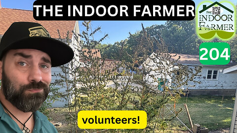 The Indoor Farmer ep 204, Getting Nervous About Harvest Time. Let's Grow!