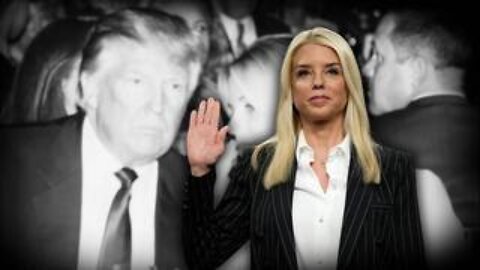 Highlights From Bondi Hearing: The Good, The Bad And The Ugly