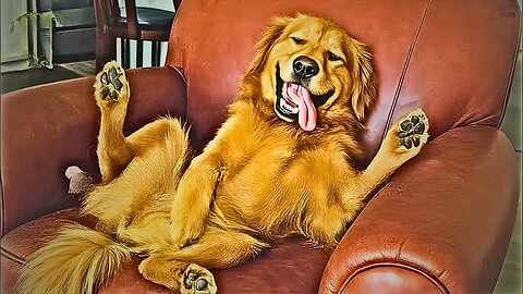 Funniest Animal & Pet Fails 2025 😂 Try Not To Laugh!