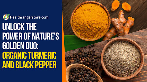 Unlock the power of nature’s golden duo: Organic Turmeric and Black Pepper