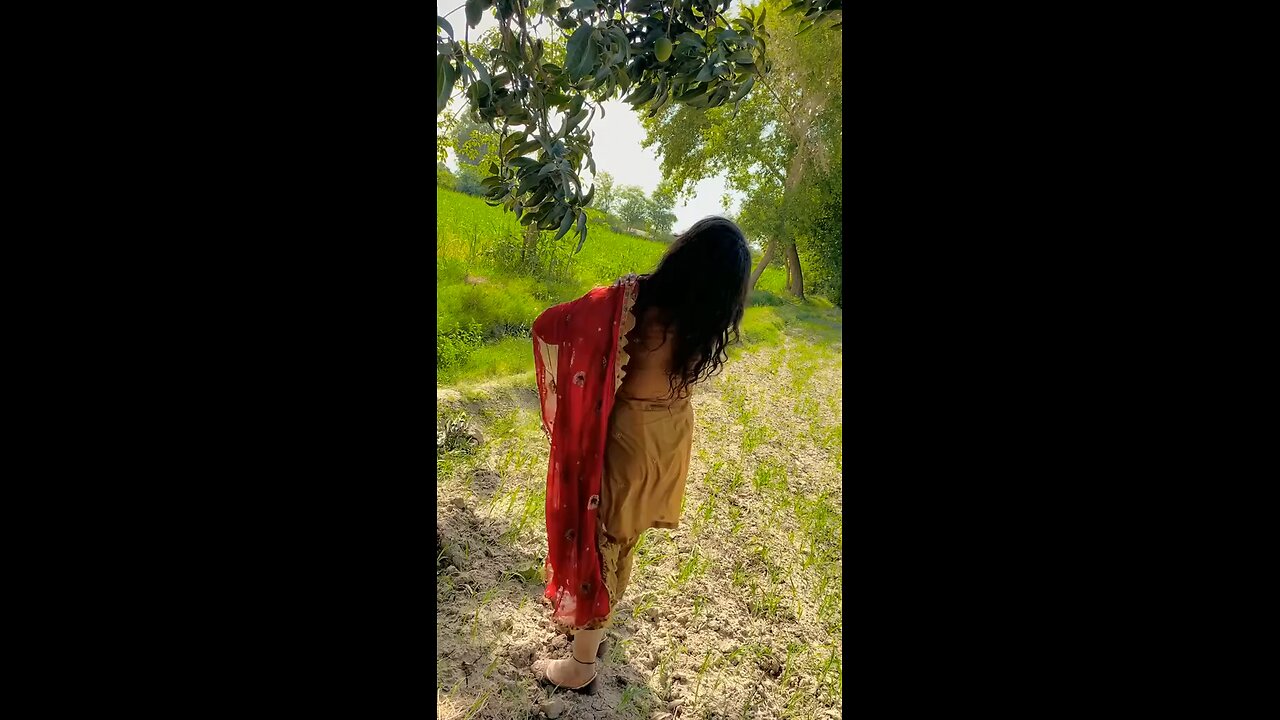 my village