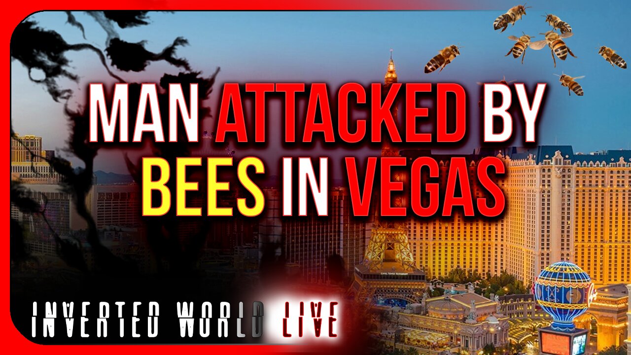 Man Attacked by Bees in Vegas