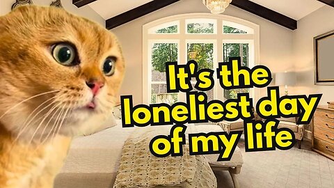 When a Cat is Having His Loneliest Day Ever (Ep.40)