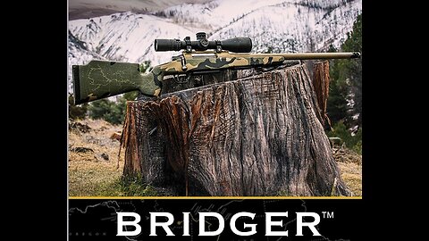 Watchtower Bridger: New Bolt Gun