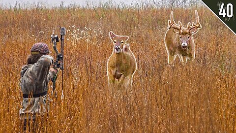 Hunting Doe Bedding Areas to Find Locked Down Bucks! - West Virginia Public Land