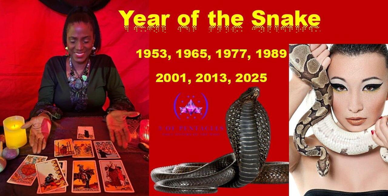 Wait...SNAKES?! Chinese New Year Snake 2025