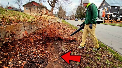 FILTHY Sidewalk CAKED With Years Of Dirt & Leaf Buildup Gets Cleaned Up