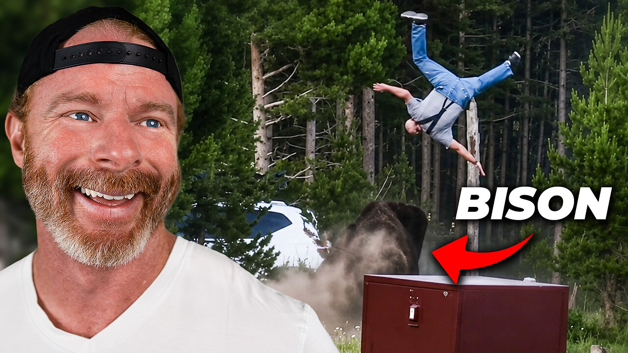Stupid Man vs 2,000lb Bison (LOL) thumbnail