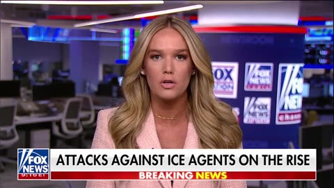 DHS Assistant Sec: These Rioters Are Protecting Criminals