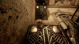 I Tried To Catch You