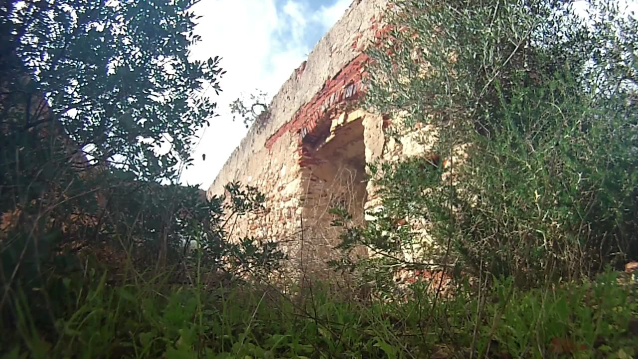 George Bacovia - Tăcere