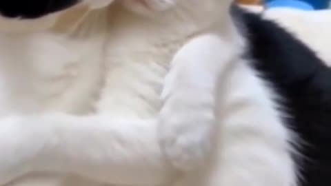 Winter is coming