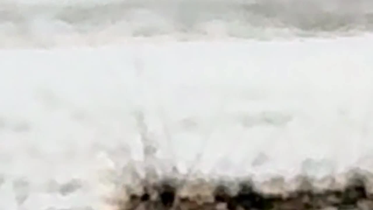 🤯🦋 Mind Blown! The Caterpillar's Crawling Ability Is Insane! | FeedMyCuriosity