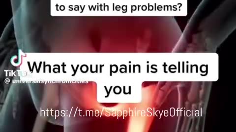 The angel you dont know