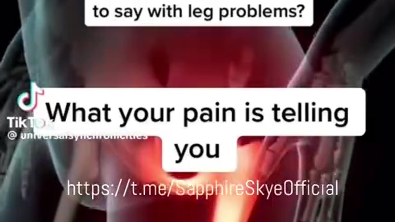 The angel you dont know