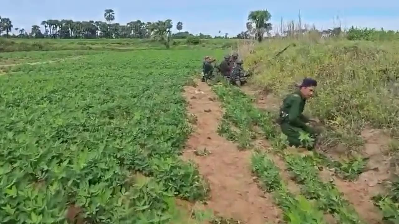 🛸🌿 Myanmar War | Junta Soldiers Ambushed by PDF in Ye-U, Shwebo | RCF