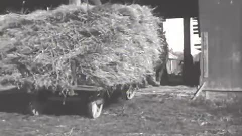 [STEAM ENGINE AND THRESHING MACHINE] - [STEAM ENGINE AND THRESHING MACHINE] - fc-fc-2224