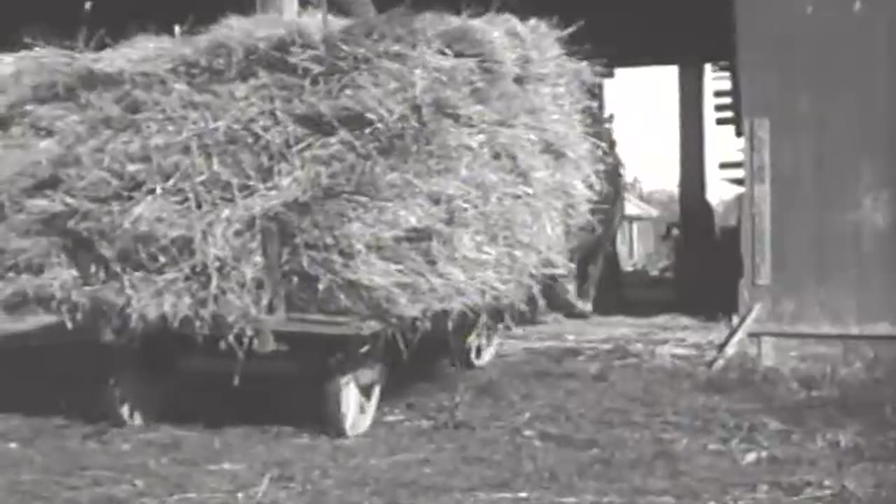 [STEAM ENGINE AND THRESHING MACHINE] - [STEAM ENGINE AND THRESHING MACHINE] - fc-fc-2224