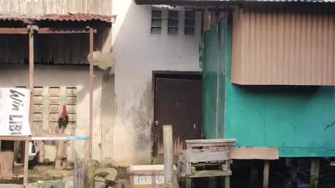 Tiya Janet & Mike Visit Lola Letecia’s Old Family House 🏠❤️
