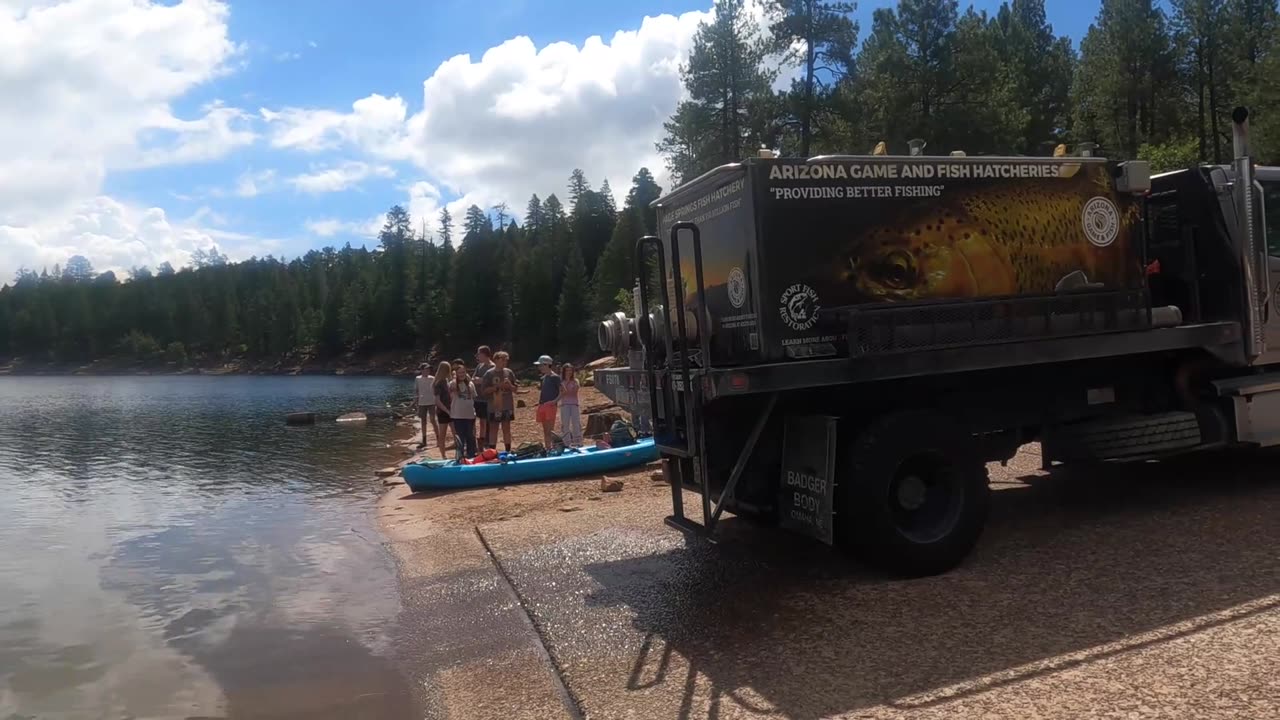 🤯✨ You Won't Believe How They Stock Trout in Arizona Lakes! | FeedMyCuriosity