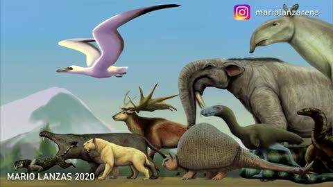 CENOZOIC ERA . Animals Size comparison. Paleoart