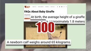 Fact Check: Video Of Mom Giraffe Handing Baby Giraffe To Tourists Through Car Window NOT Real -- AI