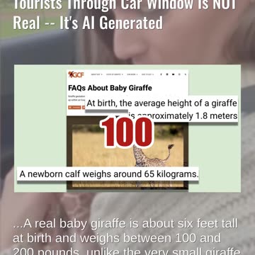 Fact Check: Video Of Mom Giraffe Handing Baby Giraffe To Tourists Through Car Window NOT Real -- AI