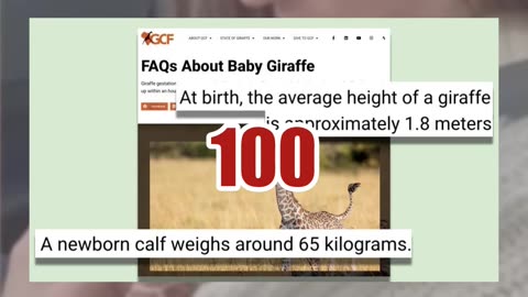 Fact Check: Video Of Mom Giraffe Handing Baby Giraffe To Tourists Through Car Window NOT Real -- AI