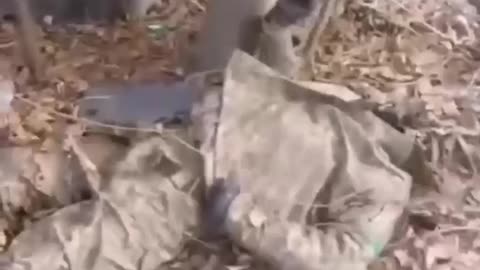 Ukraine war combat/related footage 12/30/25