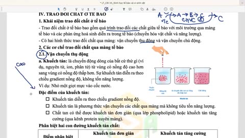 SINH HỌC BUỔI 15 CHỦ ĐỀ 7 KHÁI QUÁT CHƯƠNG TRÌNH MÔN SINH HỌC SINH HỌC TẾ BÀO mp4