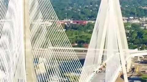 This is what happens when you poke the bear! 🐻