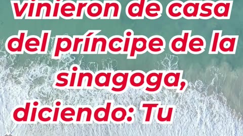 “No temas; solo cree” macros 5:35,36.#shortvideo #shorts #youtubeshorts #ytshorts #youtube #yt #reel