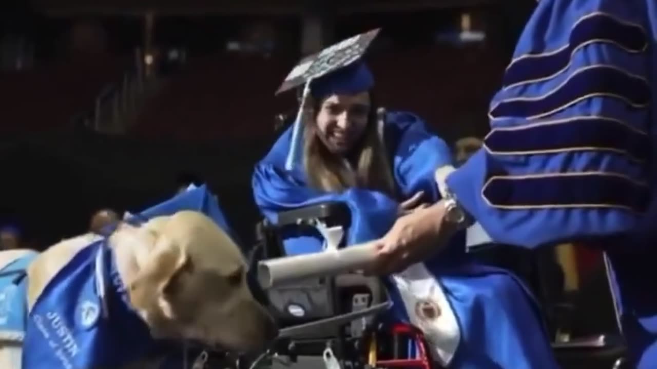 🐕🎓 This Service Dog Earned A Diploma For Attending Every Class With Her | FeedMyCuriosity