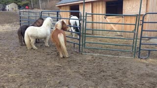 SWEET REUNION & HOMECOMING Grace and Charlotte