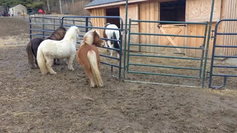 SWEET REUNION & HOMECOMING Grace and Charlotte
