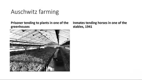 What the German "Concentration Camps" Were Really Like - Photo Proof/Montage, Luxurious Conditions