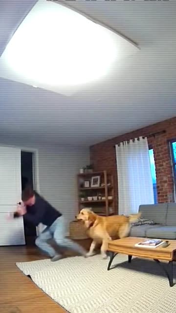 Best Friend's Saves Owner From Falling Panel 😱🐕 #Hero #Pet #CCTVFootage