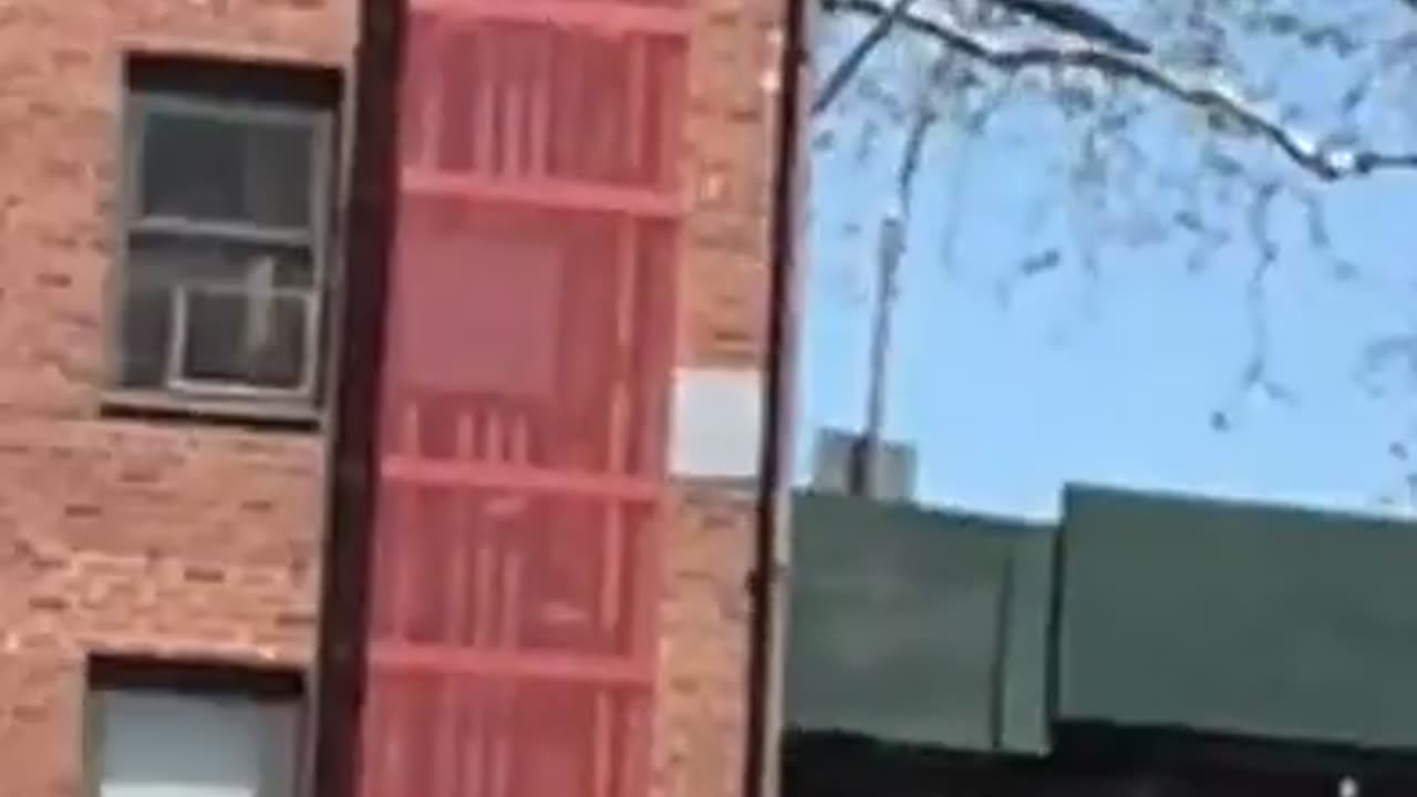 🛸👽 UFO Spotted Over FDR Drive: A Closer Look! | TheTruthAbove